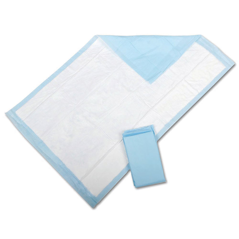 Protection Plus Fluff-Filled Disposable Underpads, Economy, 17in x 24in, Bag Of 25